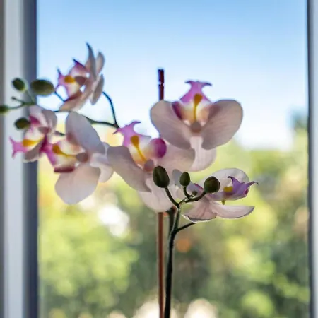 Private Terrace Centre