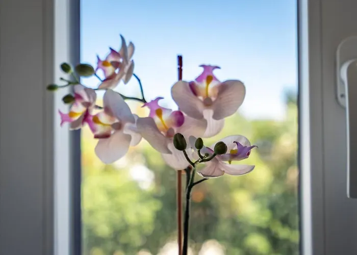 Private Terrace Centre