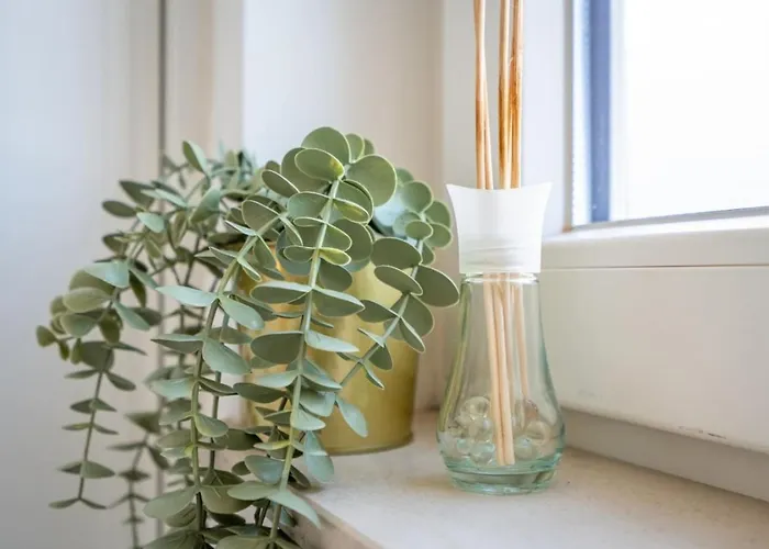 Private Terrace Centre 拉哥斯